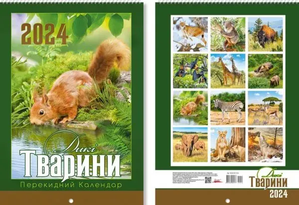 EUROkanc картинка товару